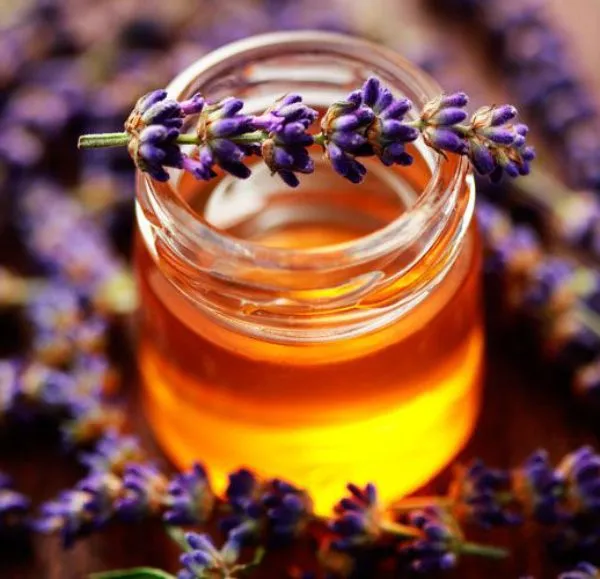 عسل اسطوخودوس کوهدشت
